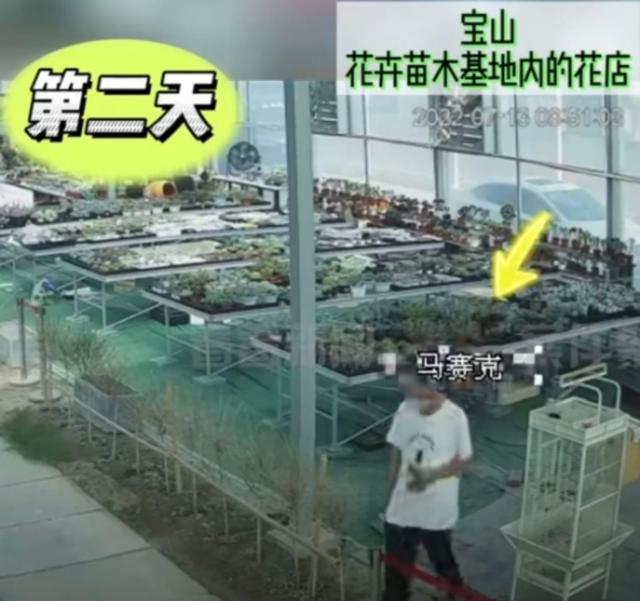 上海一盆市价10万的多肉失窃，真有这么贵吗？