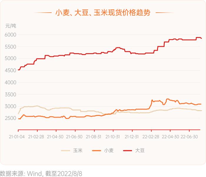 【🧧16.66元红包】面对粮食危机，除了“少吃点”，还能做点啥