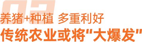 【🧧16.66元红包】面对粮食危机，除了“少吃点”，还能做点啥