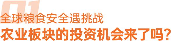 【🧧16.66元红包】面对粮食危机，除了“少吃点”，还能做点啥