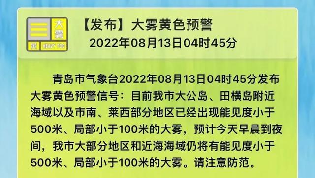 中雨到大雨局部暴雨+雷电+10级阵风！青岛发布大雾黄色预警，接下来的天气……