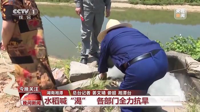 继续高温红色预警！水稻喊“渴”，各部门全力抗旱，鄱阳湖水体面积减少近3000平方公里！