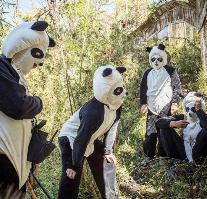 当工作人员穿上熊猫服，网友：哈哈哈熊猫不害怕吗？