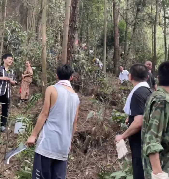 重庆北碚山火，仍在扑救中