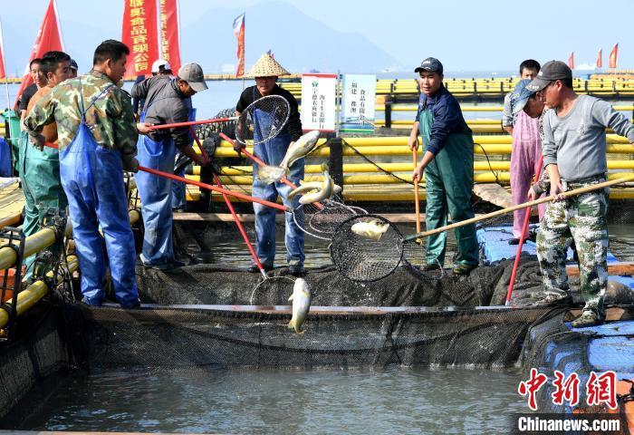 “十四五”渔业高质量发展推进会在福建召开