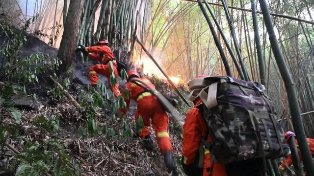 云南省森林消防总队增援重庆森林火灾第二梯队已到达指定地域并展开扑救行动