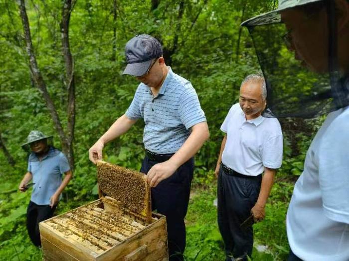 双向奔赴：神农架与华中农业大学区校合作新起点