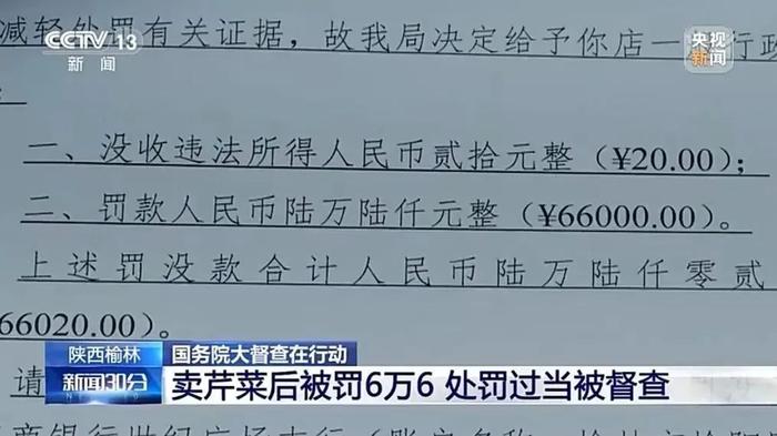 卖5斤芹菜罚6.6万，国务院督查组质问当地：相当吗？