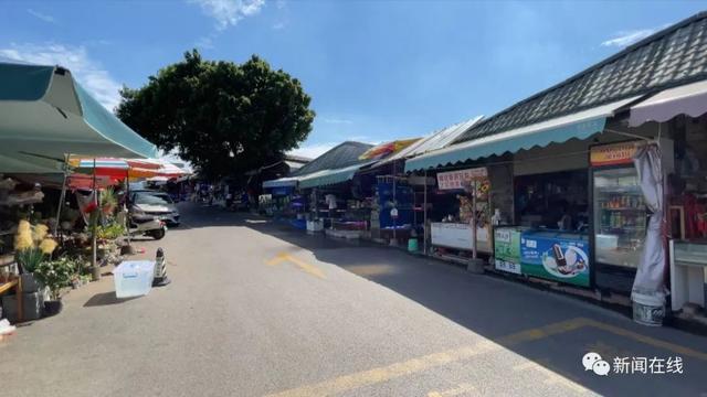 广西花鸟市场超半数观赏鱼店有鳄雀鳝幼苗，部分商家直言“不卖了”