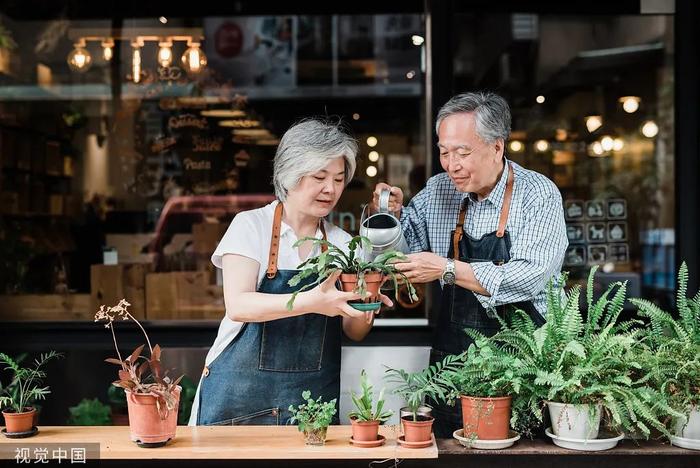 那些号称“养不死”的植物，为啥被你养死了？这4招很关键！