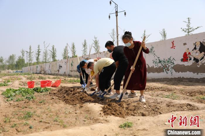资料图:河北衡水利民路小学创设的“耕读苑”劳动基地,各班学生自己设计班牌,查资料,选择农作物种子。金莉莉 摄