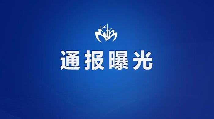 【最新】上海市公开曝光五起违反中央八项规定精神典型问题