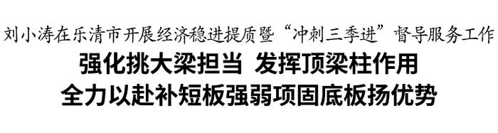 刘小涛在乐清市开展经济稳进提质暨“冲刺三季进”督导服务工作
