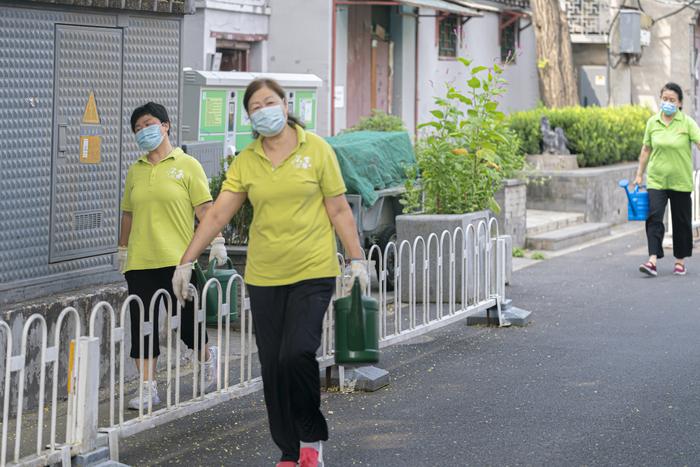 大城小事｜老街坊以花“汇”友，老胡同“美美与共”