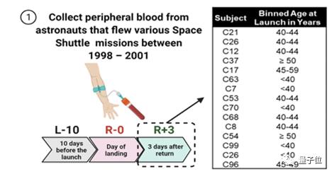最新研究：宇航员血液样本中个个都带基因突变