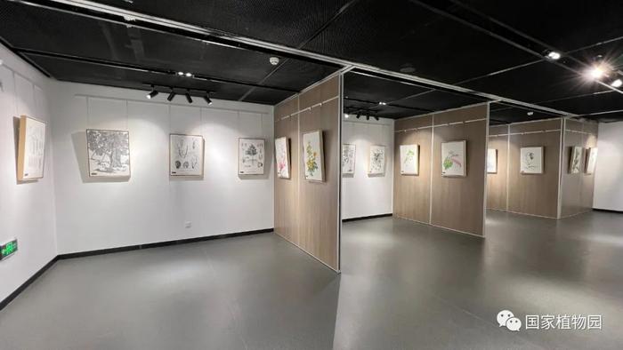 LIAN植物绘画艺术金秋特展在国家植物园科普馆开展