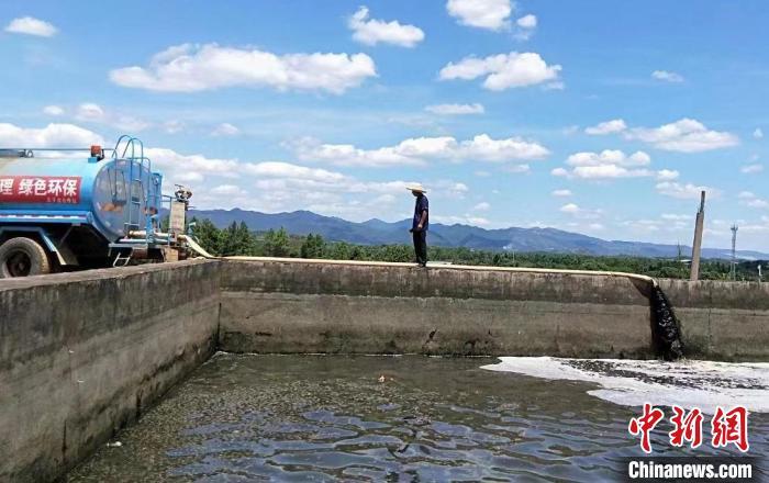 湖南祁阳推进养殖业转型升级 昔日“废沼液”变身“农家宝”