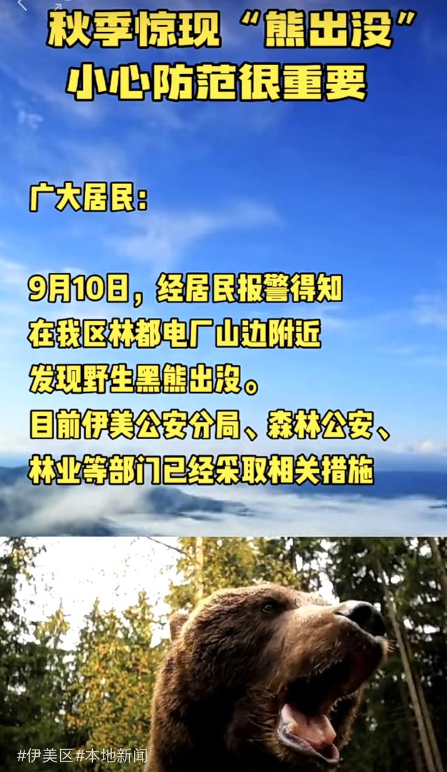 熊出没！黑龙江伊春伊美区发布提醒