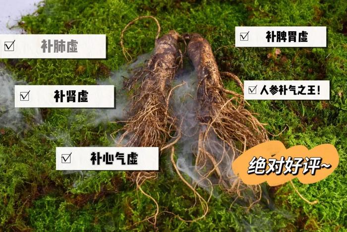 当天摘当天发！长白山5年足龄「鲜人参」，收到还挂着土！又鲜又补，别错过这当季好物！