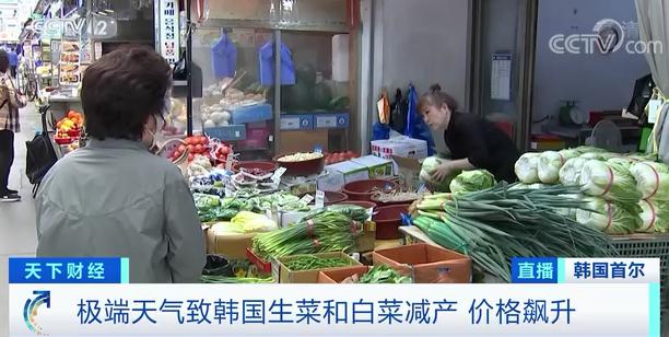 韩国的麦当劳，汉堡里没生菜了？！多家知名快餐店宣布：断供