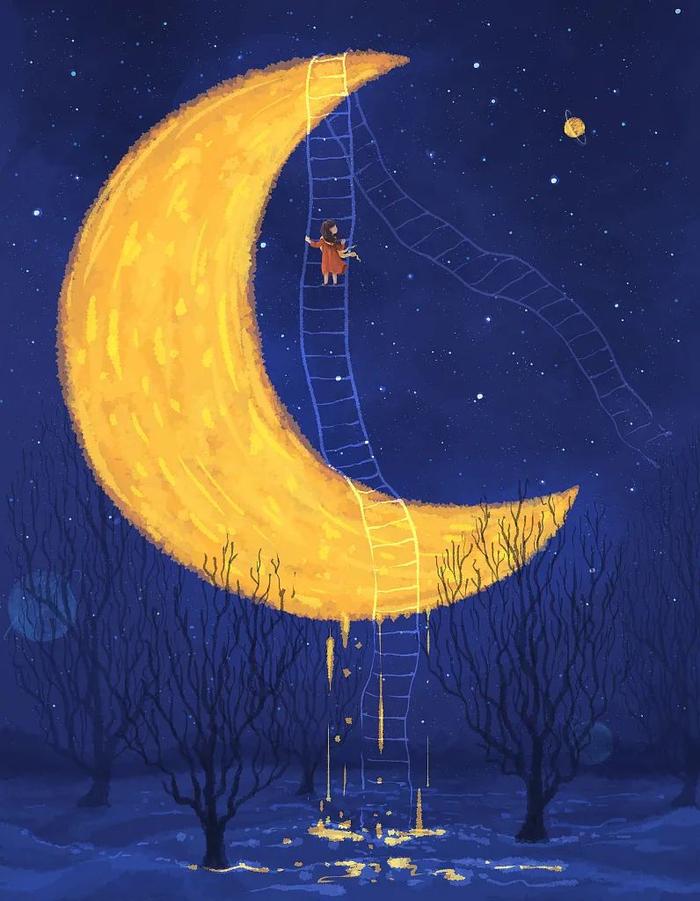 文/央视新闻《夜读》整编