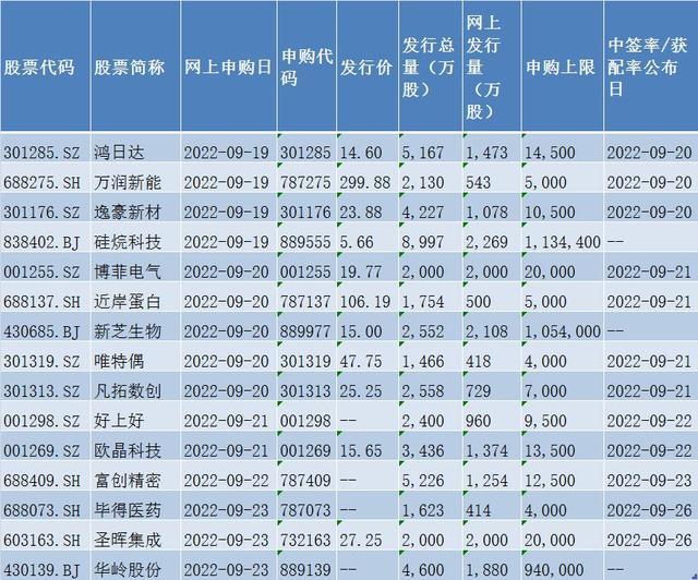 299.88元！年内最贵新股今日申购，中一签需缴近15万