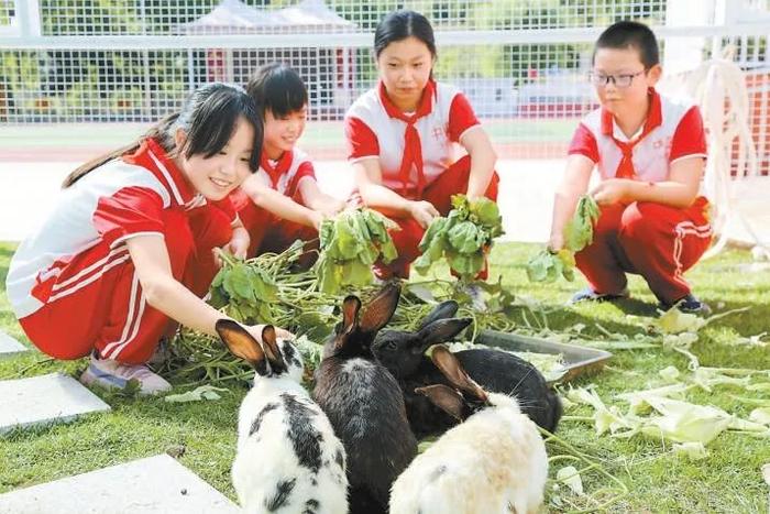 新学期的劳动课该怎么上？这些北京中小学校大显身手