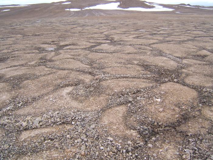 这些长在地上的“碎冰冰”、“圆圈圈”和“碎石石”，都是从哪里来的？