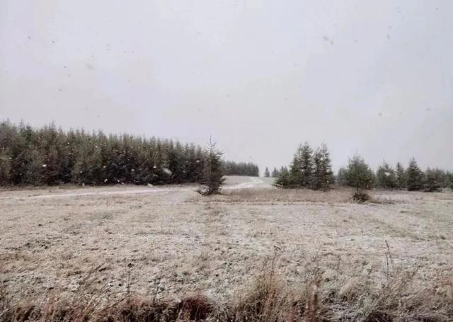 霜冻寒潮大风！内蒙古多地下雪！呼和浩特秋分遇上大降温