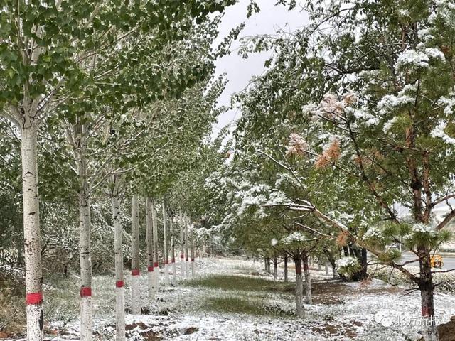 霜冻寒潮大风！内蒙古多地下雪！呼和浩特秋分遇上大降温