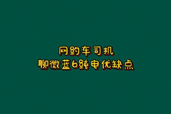 网约车司机聊微蓝6纯电优缺点