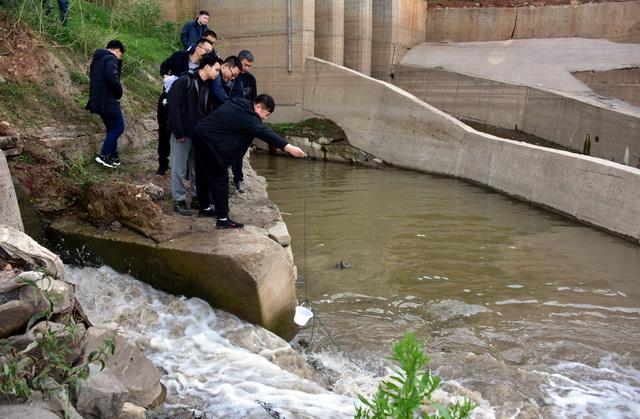 长江入河排污口整治进入“深水期”，将严厉打击污水直排等行为