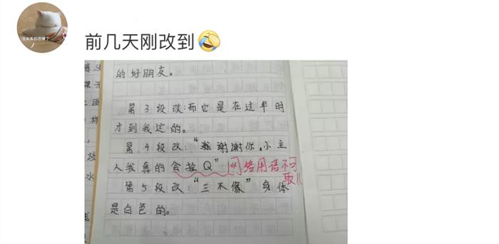 小学生写作出现“栓Q”老师血压飙升，网络热词该进作文吗？