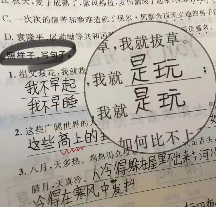 小学生写作出现“栓Q”老师血压飙升，网络热词该进作文吗？