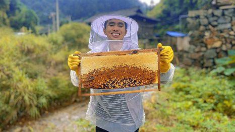 丰收节|度小满携央视网直播带货助农扩销路 观看人次超166万