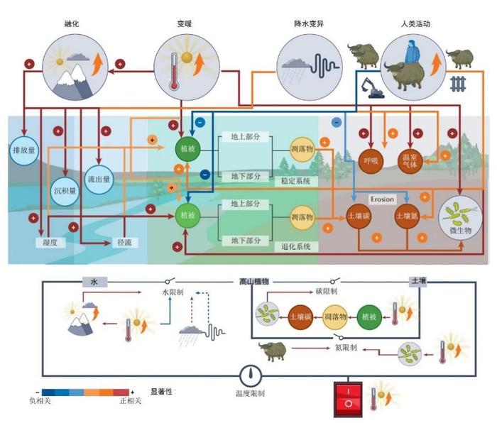 我科研团队发现影响青藏高原碳氮循环的主要因子