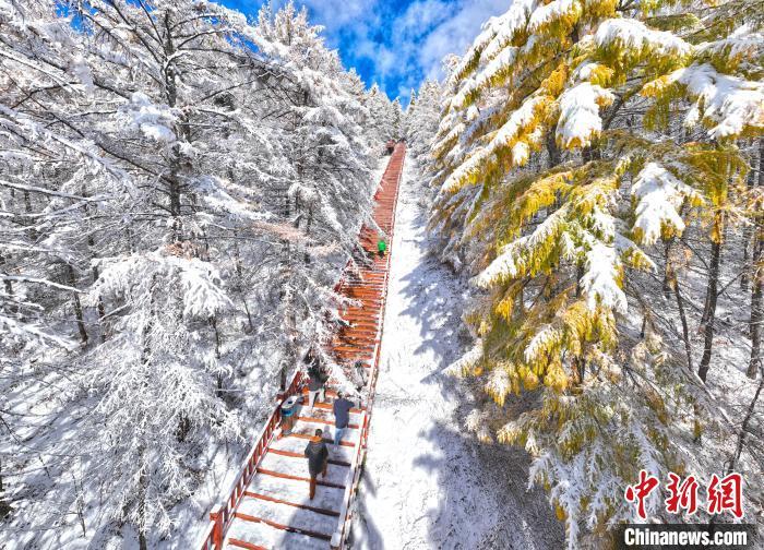 （中国这十年）“东方小瑞士”阿尔山交通“疏经通络” 八成人借旅游脱贫