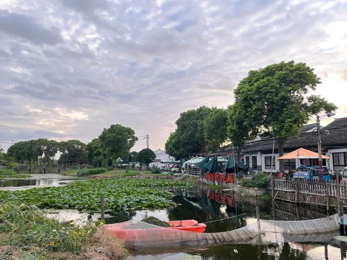 阳澄湖大闸蟹因高温推迟上市，有商家20天销量不如去年1天