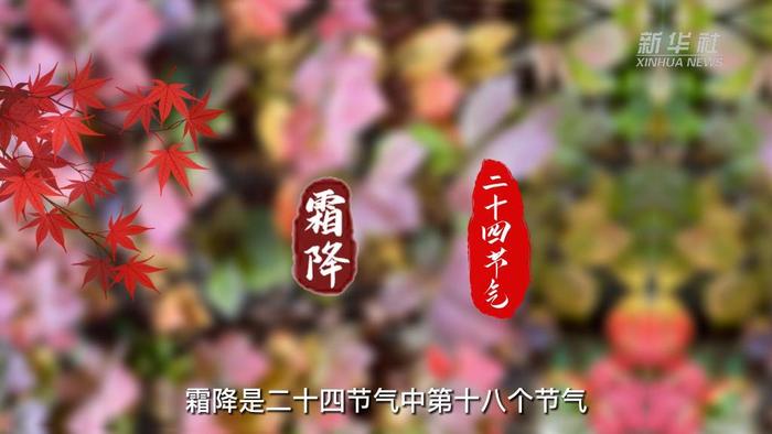 原创动画｜霜降节气知识科普