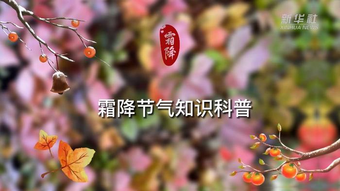 原创动画｜霜降节气知识科普