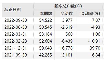 判三缓五！百亿A股公司嘉化能源实控人出事，超5万股东懵了