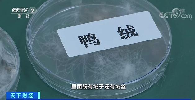 别看含绒量了！新国标落地，今年买羽绒服，注意这一点