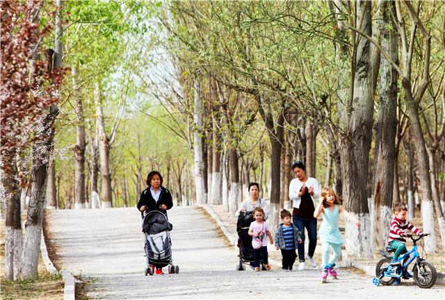 非凡十年，朝阳农村新变化（十）（大尺度绿化篇）｜碧水蓝天满目绿 生态美景入画来——崔各庄积极拓展百姓身边绿色空间