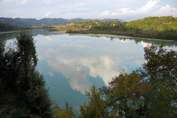 全球连线丨湿地之美·意大利纳扎诺泰韦雷-法尔法自然保护区