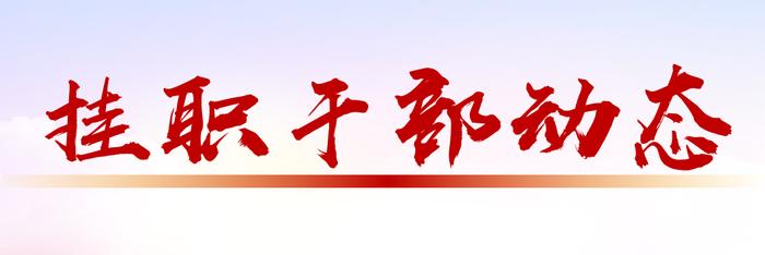 国家发展改革委派驻田东县挂职干部推动田东县开发开放产业规划编制工作