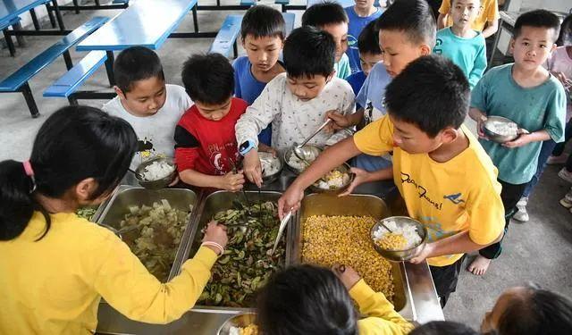 “试点”改“计划”，让营养午餐长期惠及农村学生