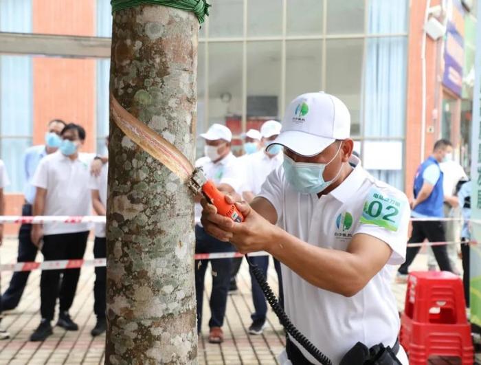 2022年白沙黎族自治縣第七屆割膠技能競(jìng)賽落幕