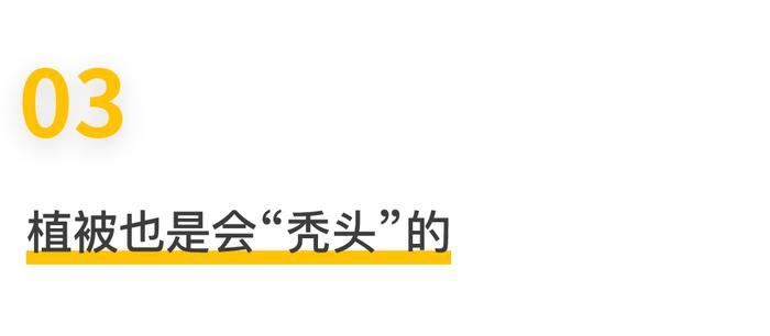 商业地产商自掏腰包帮物业公司挣钱?商业地产仁义是MR了!(图6) 商业地产商自掏腰包帮物业公司挣钱?商业地产仁义是MR了!(图6)