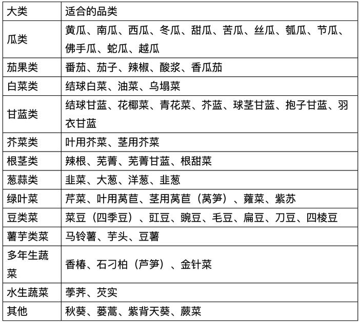 张跃峰：种苗是蔬菜产业提质增效的关键