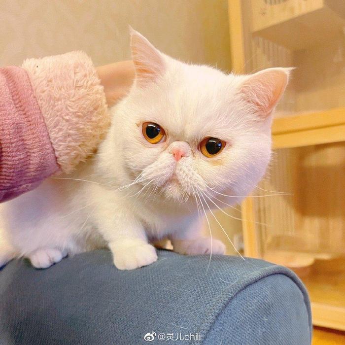 灵儿在社交媒体发布“开心”的照片。 图/灵儿微博